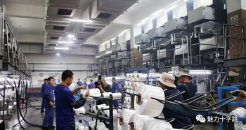 鏡頭記錄變遷，筆墨書寫新篇——十字路街道舉辦攝影與文學創作采風活動